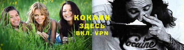 дживик Ачинск
